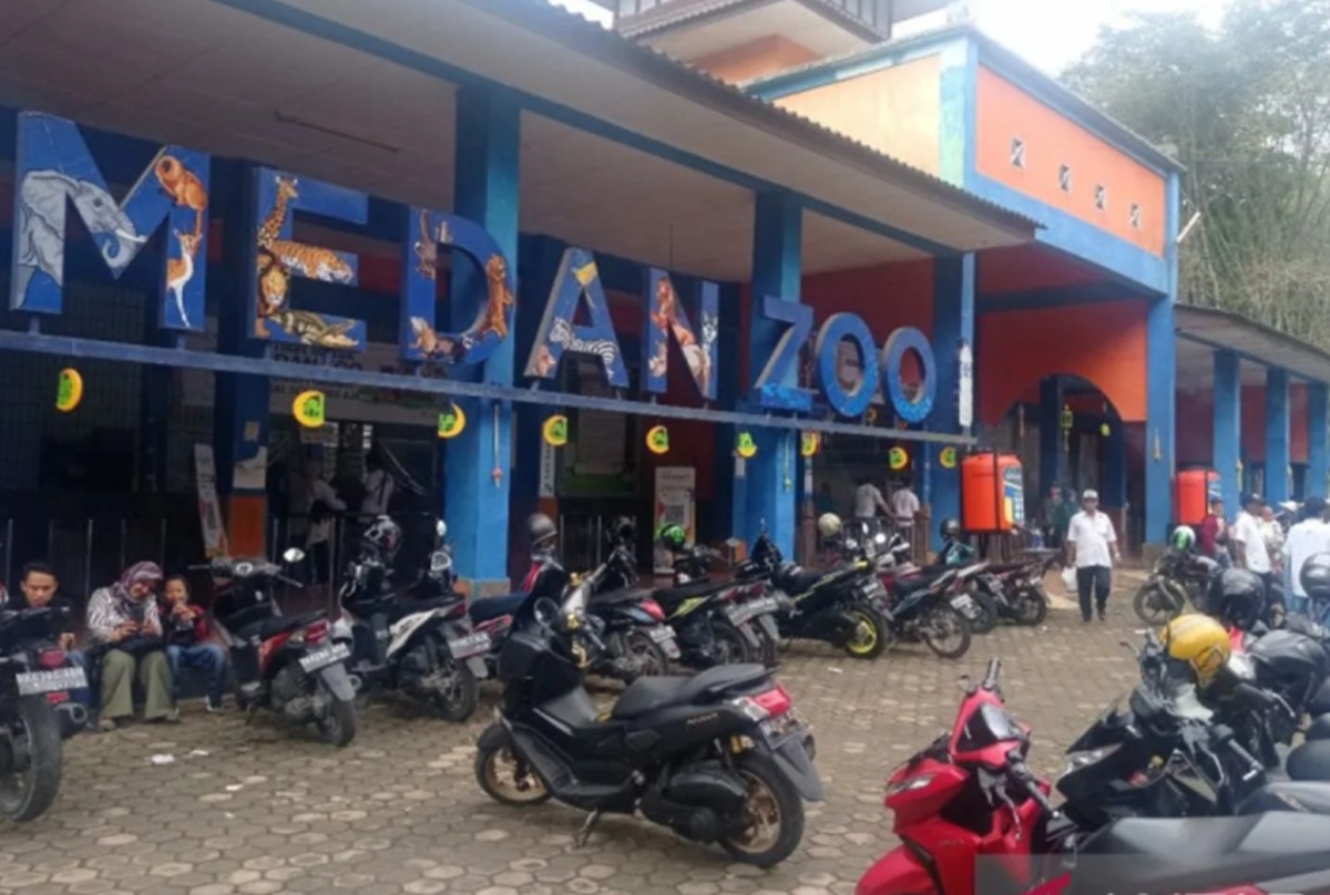 Meski Kunjungan Naik Saat Lebaran, Medan Zoo Masih Terjebak Krisis Finansial Akut
