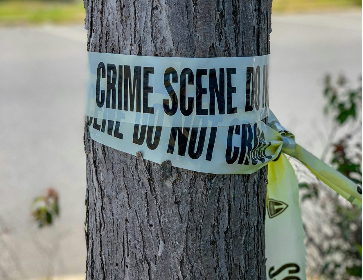 GEGER! Terungkap Misteri Kerangka Manusia Dalam Pohon Aren Sergai, Keluarga Langsung Laksanakan Fardu Kifayah