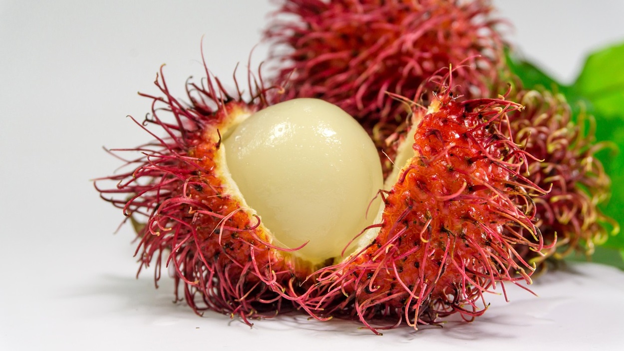 Rahasia Rambutan: Buah Tropis dengan Segudang Manfaat untuk Kesehatan Tubuh