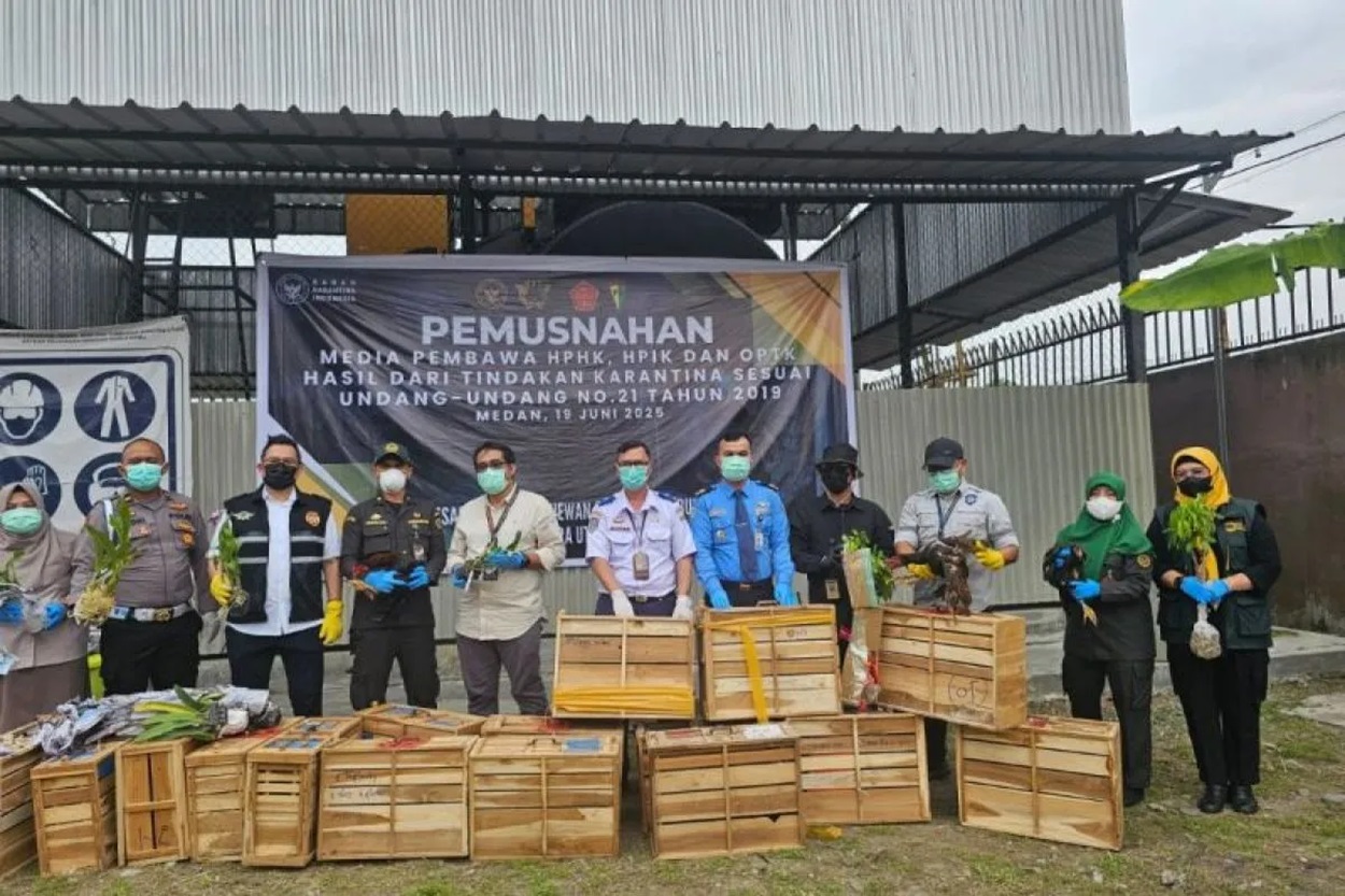 Bea Cukai Medan Gagalkan Penyelundupan Satwa dan Tumbuhan Asal Thailand Senilai Rp3,8 Miliar