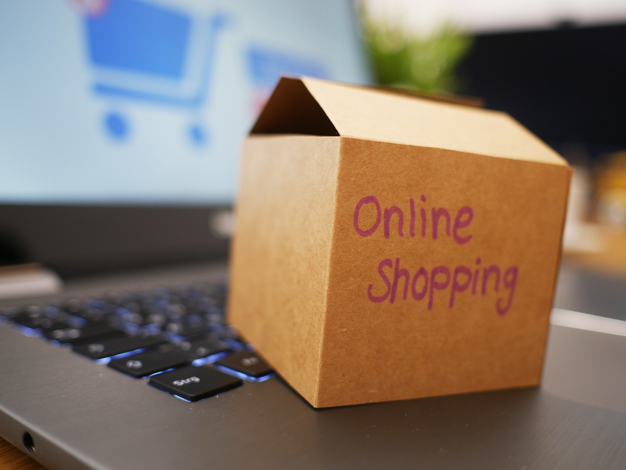 Data Terbaru Ipsos 2025 Ungkap Faktor Kunci UMKM & Brand Lokal dalam Memilih Platform E-Commerce