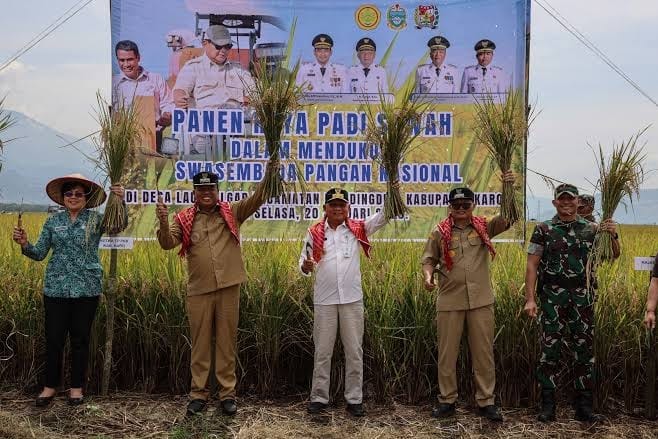 Panen Raya Padi di Karo, Wagub Surya Tegaskan Pemerintah Tidak Tinggalkan Petani