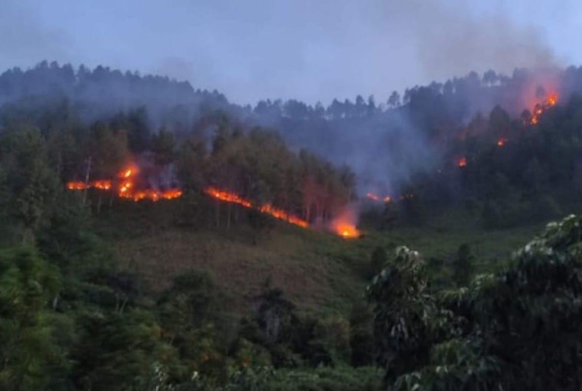 WASPADA KARHUTLA! BMKG Deteksi 54 Titik Panas Tersebar di Wilayah Sumut