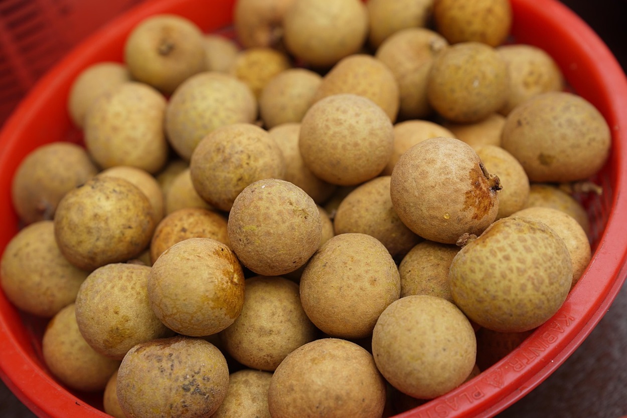 Buah Duku: Si Kecil Tropis dengan Segudang Nutrisi, Rahasia Sehat dan Awet Muda