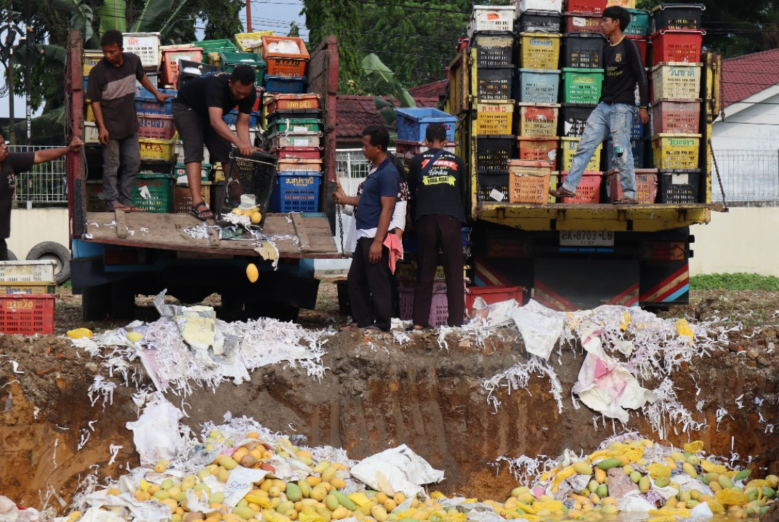 Selundupkan 14,6 Ton Mangga Asal Thailand, 4 WNI Diamankan di Sumut