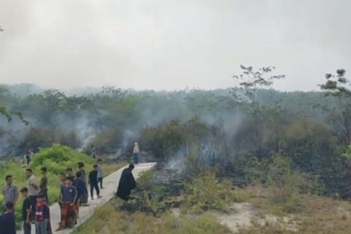 Lahan Tiga Hektare di Paluta Terbakar, BPBD Sumut Pastikan Api Sudah Padam