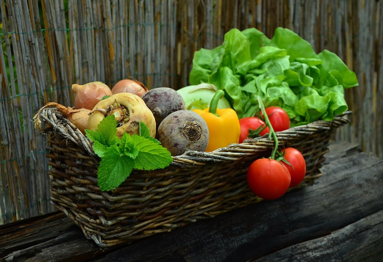 Rahasia Sehat Awet Muda: Manfaat Dahsyat Buah dan Sayur untuk Tubuh