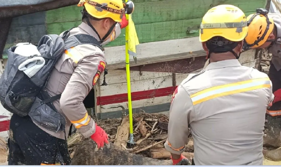 Polda Sumut Kerahkan Tim K-9 Lacak Korban Bencana Tapanuli Selatan