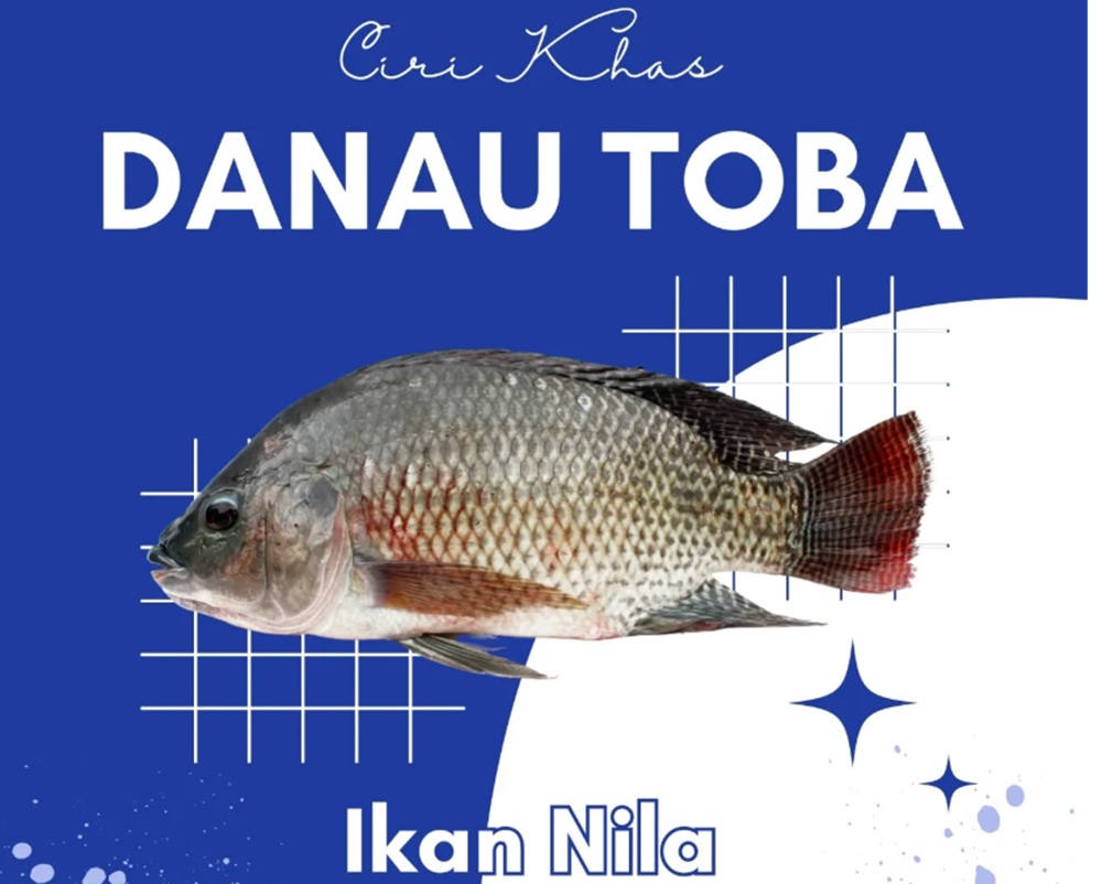 8 Ikan Khas Perairan Sumut Serta Olahan Populernya, Nomor 3 Jadi Primadona Wisatawan