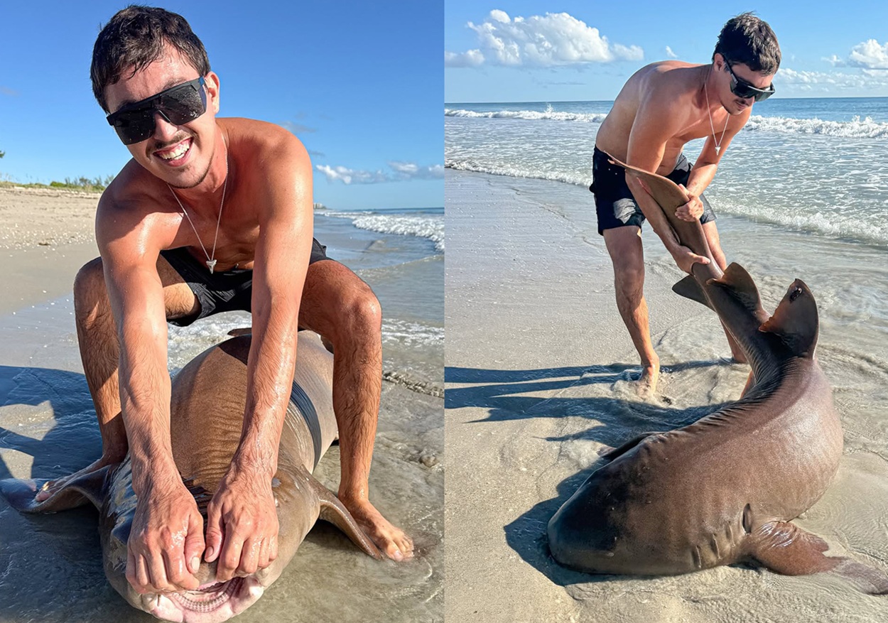 Aksi Seru Catch-and-Release Hiu Raksasa oleh Angler Florida, @JunoBrandon Menjadi Viral