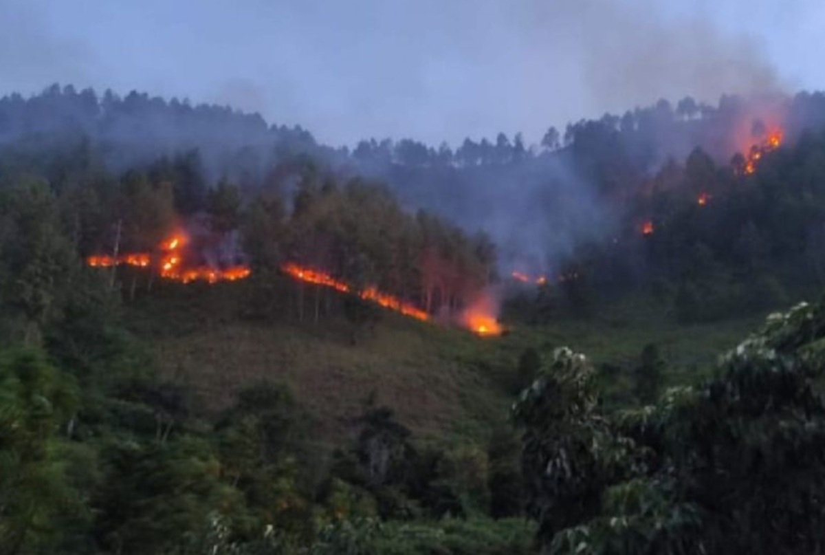 BMKG Deteksi 64 Titik Panas di Sumut, Terbanyak Menyebar di Kabupaten Karo