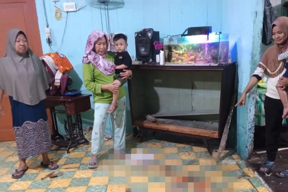 Viral Babi Hutan Masuk Rumah Warga di Sumut, Perabot Hancur dan Penghuni Terluka