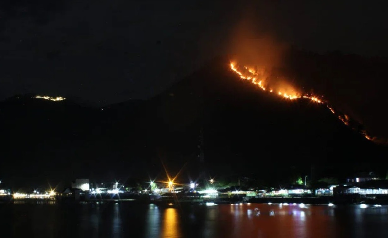 Tujuh Kabupaten di Sumut Tetapkan Status Siaga Darurat Karhutla, 1.800 Hektare Lebih Lahan Sudah Terbakar