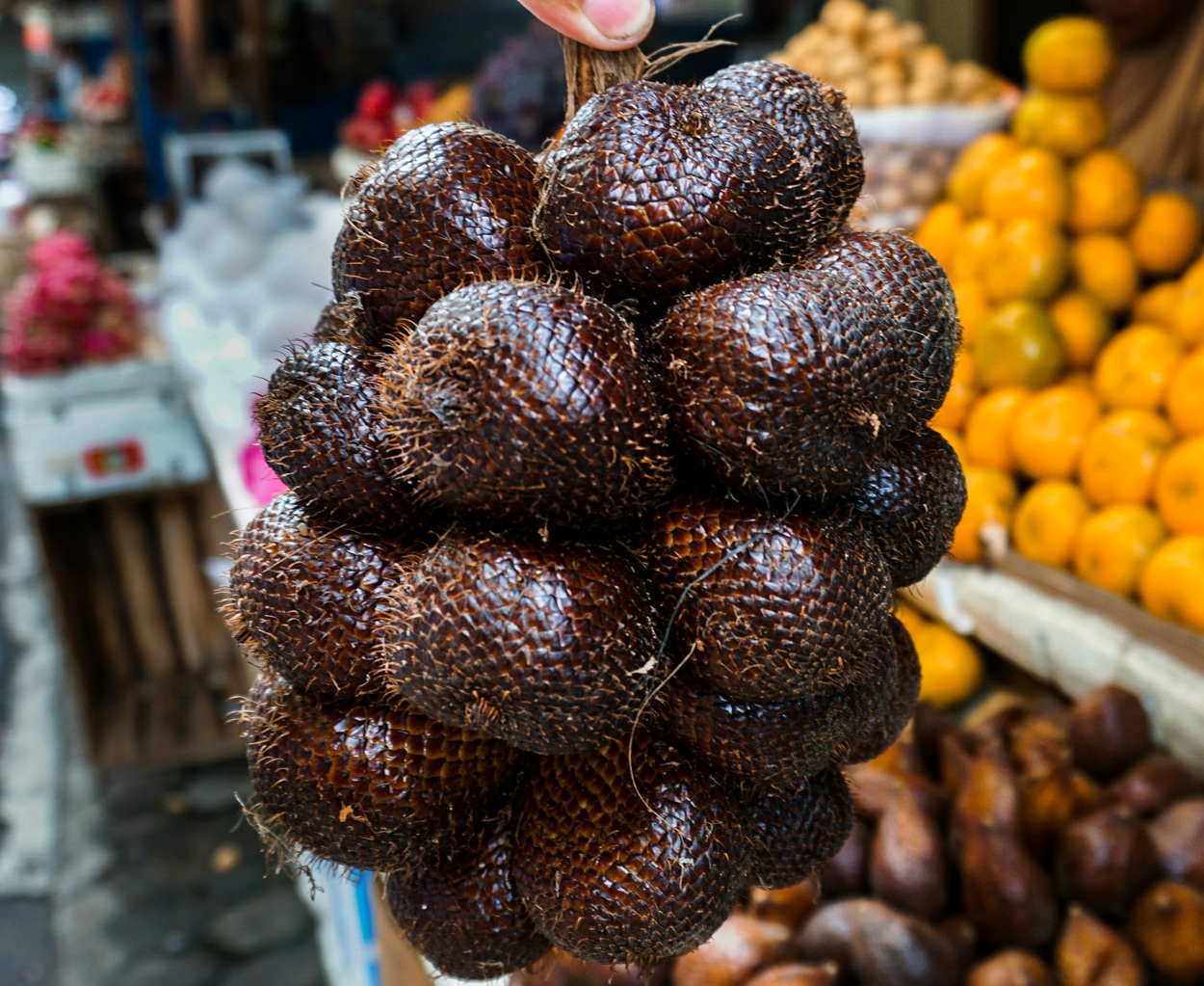 Bukan Pemicu Sembelit, Inilah 5 Manfaat Mengejutkan Buah Salak bagi Kesehatan