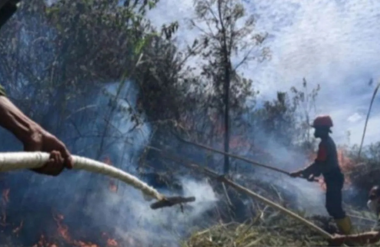 BMKG Deteksi 14 Titik Panas di Sumut: Waspada Potensi Karhutla dan Cuaca Ekstrem