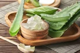 7 Manfaat Lidah Buaya untuk Kesehatan dan Kecantikan yang Wajib Diketahui