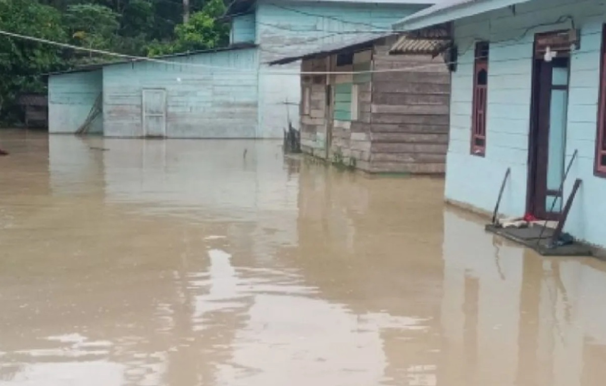 Banjir Terjang 3 Wilayah di Sumut, Puluhan Warga Mengungsi dan Sawah Terdampak