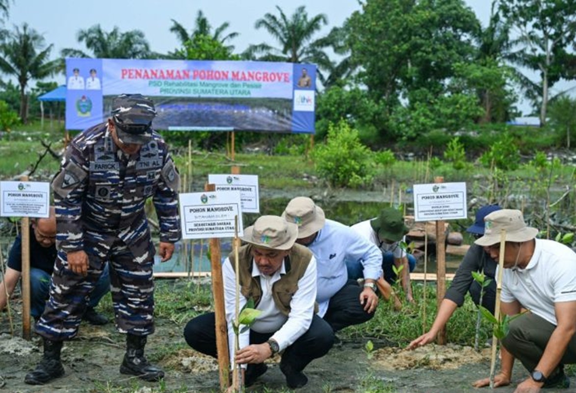 Pemprov Sumut Siapkan Penanaman Mangrove 27 Hektare, Jadi Andalan Hadapi Perubahan Iklim