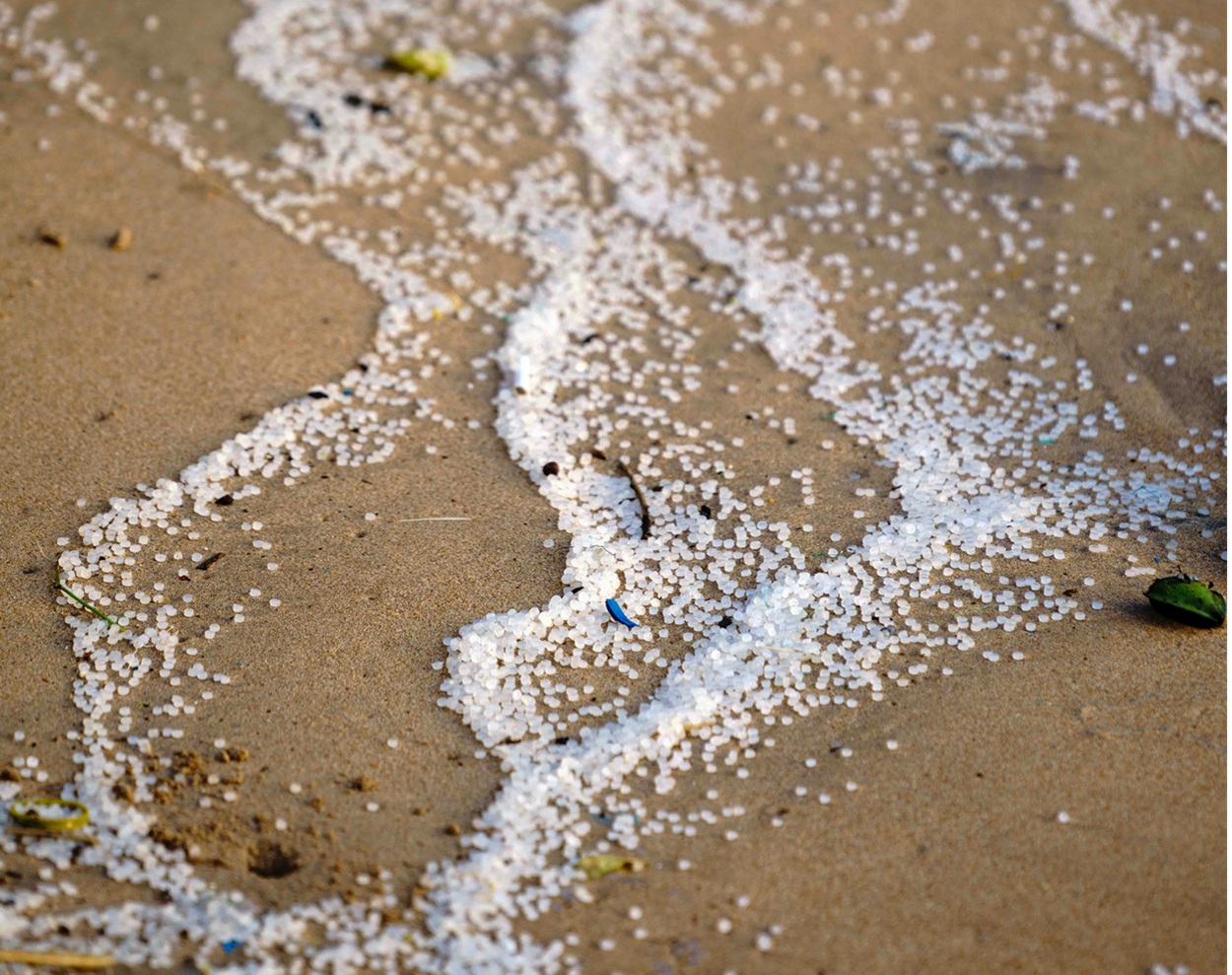 Ancaman Tak Kasat Mata: Mengupas Bahaya Mikroplastik di Tubuh dan Lingkungan