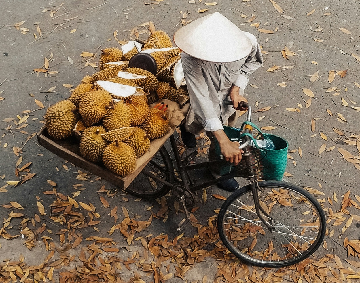 Legit dan Autentik, Inilah 5 Varietas Durian Unggulan Asli Indonesia yang Mendunia