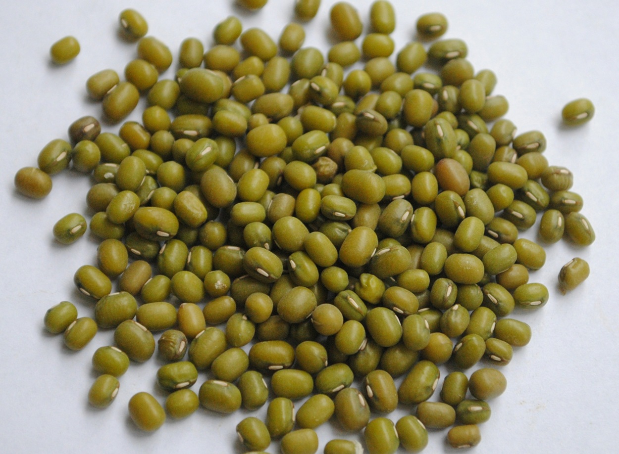 Manfaat Kacang Hijau untuk Ibu Hamil: Dukung Metabolisme hingga Cegah Anemia