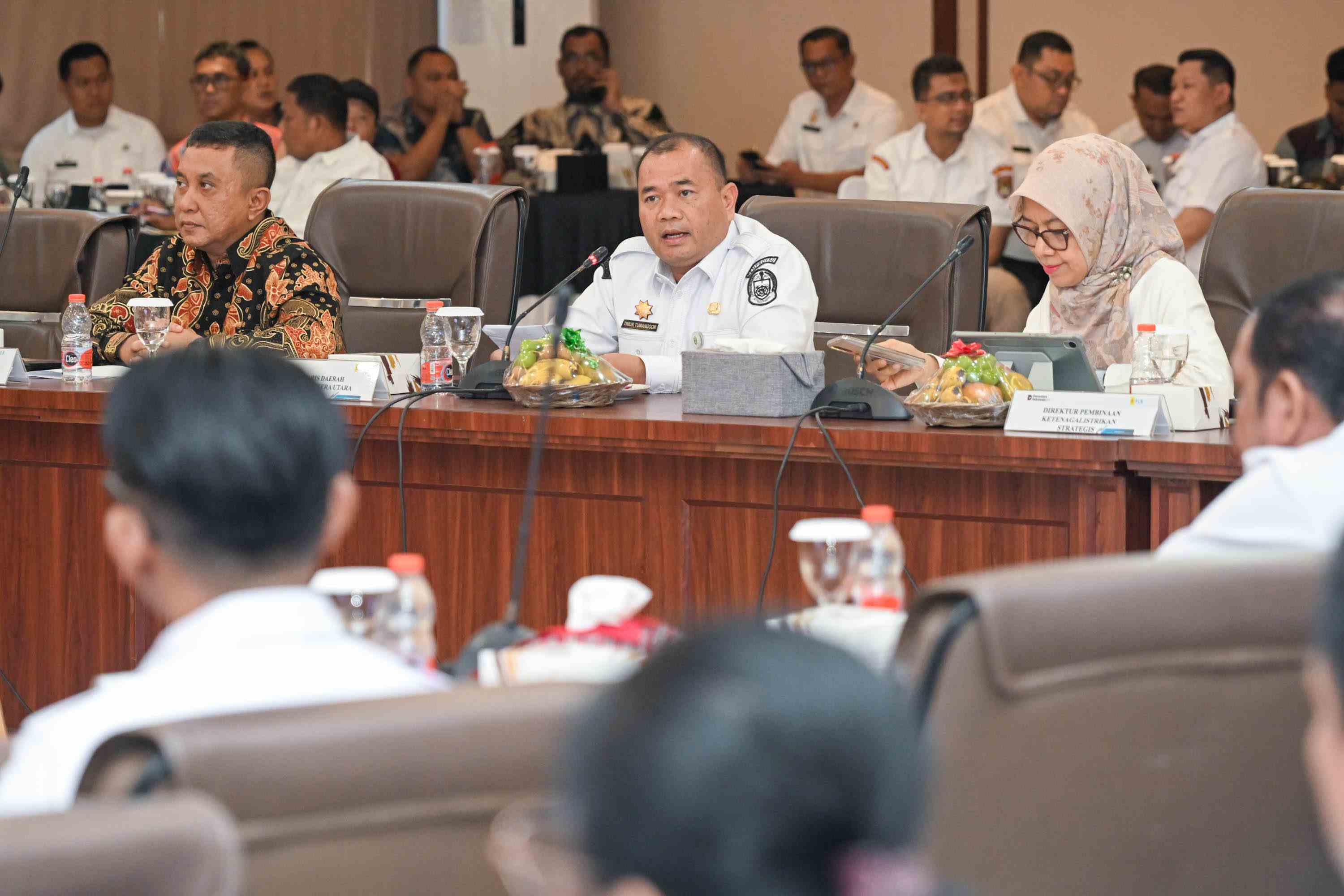 Pemprov Sumut, ESDM dan PLN Perkuat Program Lisdes, Kejar Rasio Elektrifikasi 100 Persen