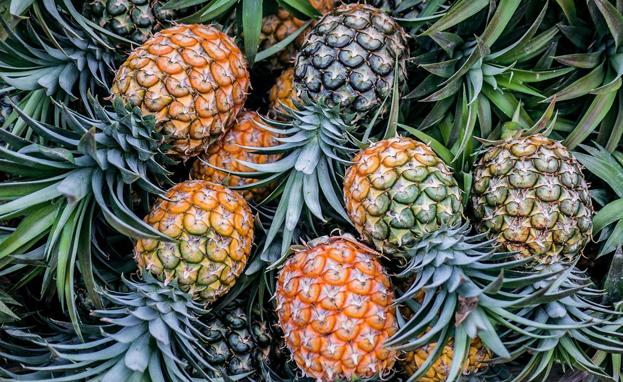 Inovasi Hijau: Kulit Nanas Diolah Jadi Bioetanol Ramah Lingkungan