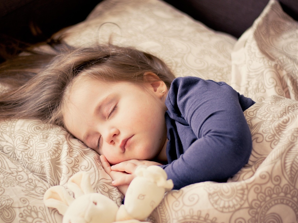 Tidur Siang Singkat, Rahasia Kecil untuk Menyegarkan Tubuh dan Pikiran
