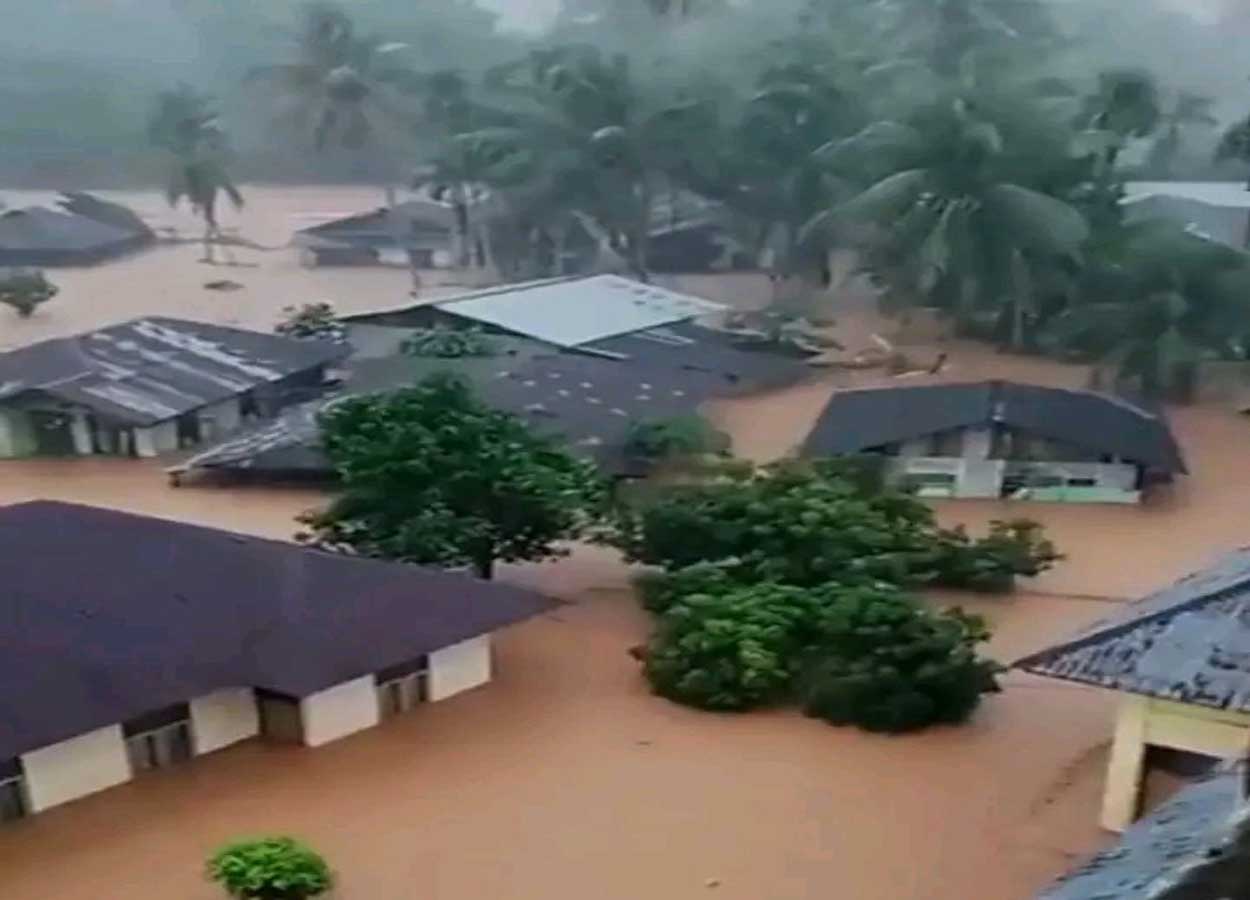 Iwan Fals Serukan Moratorium Penebangan Hutan 50 Tahun Usai Banjir Bandang di Sumatra