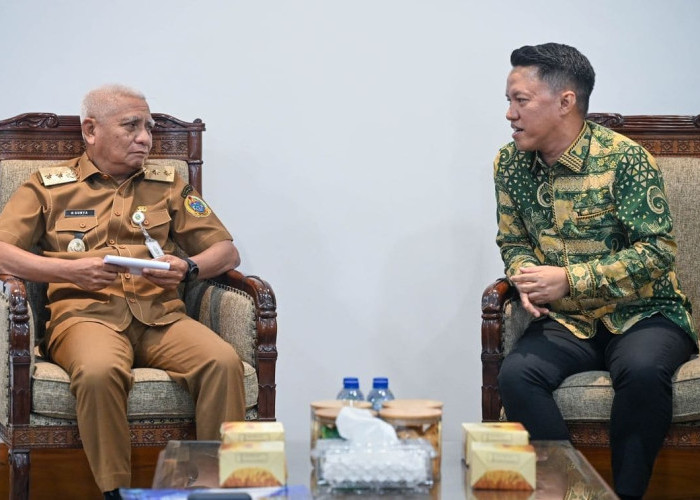 PLN Bangun 217 Tower Transmisi di Sumut, Jalur Listrik Aceh-Medan Makin Kuat