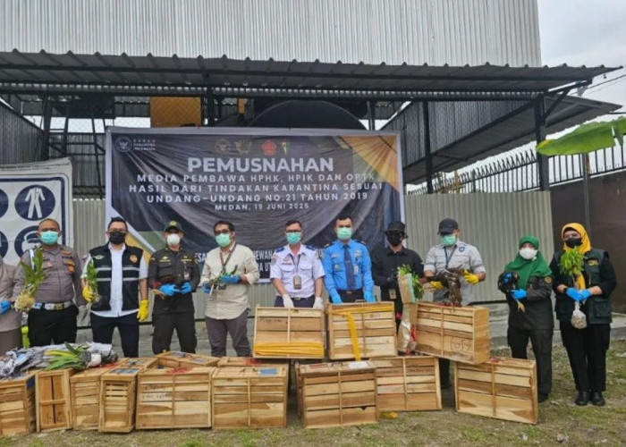 Bea Cukai Medan Gagalkan Penyelundupan Satwa dan Tumbuhan Asal Thailand Senilai Rp3,8 Miliar