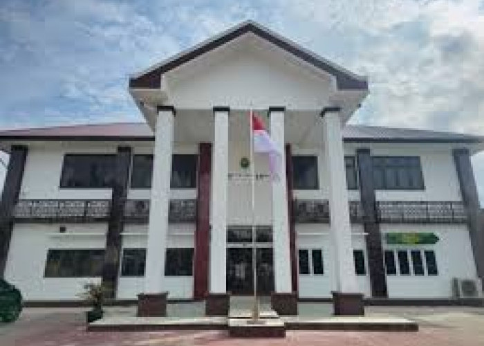 Hinca Panjaitan Jamin Penangguhan Penahanan Amsal Sitepu: PN Medan Kabulkan Permohonan