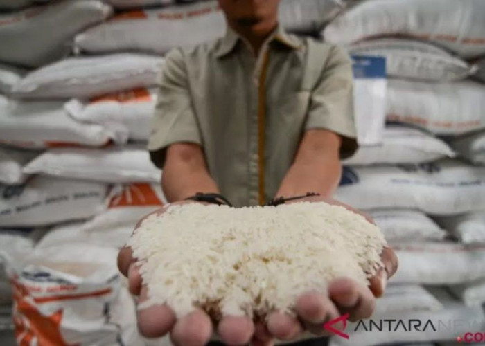 Naik Dua Kali Lipat, Bulog Pasok Bantuan Pangan Bagi 485 Ribu Warga Sumut