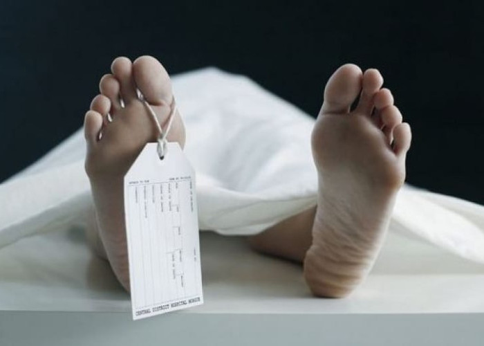 Berangkat ke Ladang Tak Pernah Pulang, Kakek di Simalungun Ditemukan Meninggal