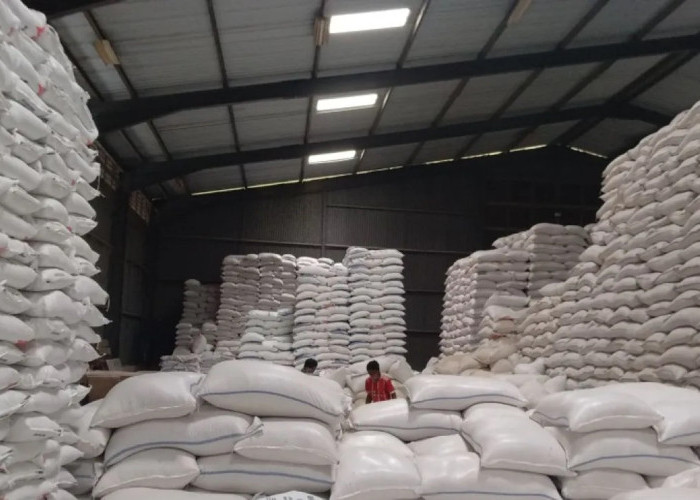 Jamin Stok Aman Hingga Ramadan, Bulog Siapkan 41 Ribu Ton Beras untuk Nataru di Sumut