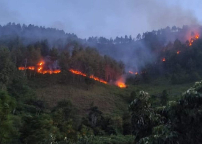 WASPADA KARHUTLA! BMKG Deteksi 54 Titik Panas Tersebar di Wilayah Sumut