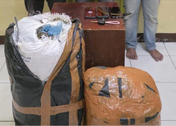 Lari dari Aceh ke Medan, Tiga Kurir 20 Kg Ganja Lintas Provinsi Tak Berkutik Ringkus Polda Sumut
