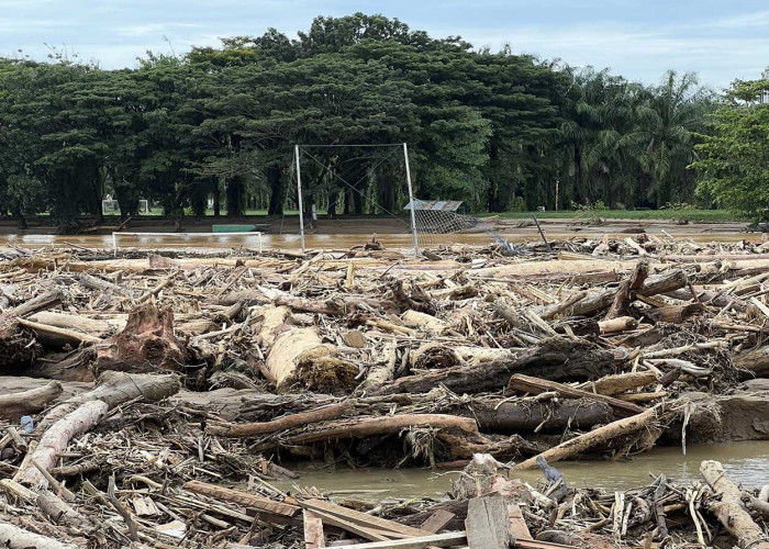 Pilunya Tokoh Adat Garoga: Desa Hilang Disapu ‘Tsunami Kayu’, Ribuan Batang Pohon Hancurkan Permukiman Warga