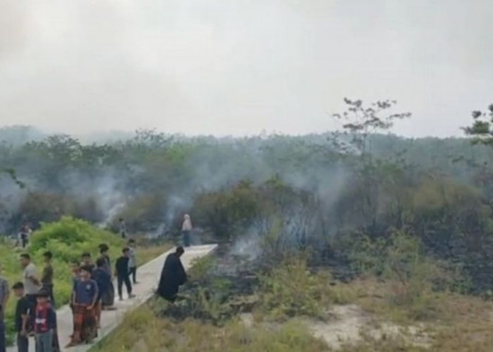Lahan Tiga Hektare di Paluta Terbakar, BPBD Sumut Pastikan Api Sudah Padam