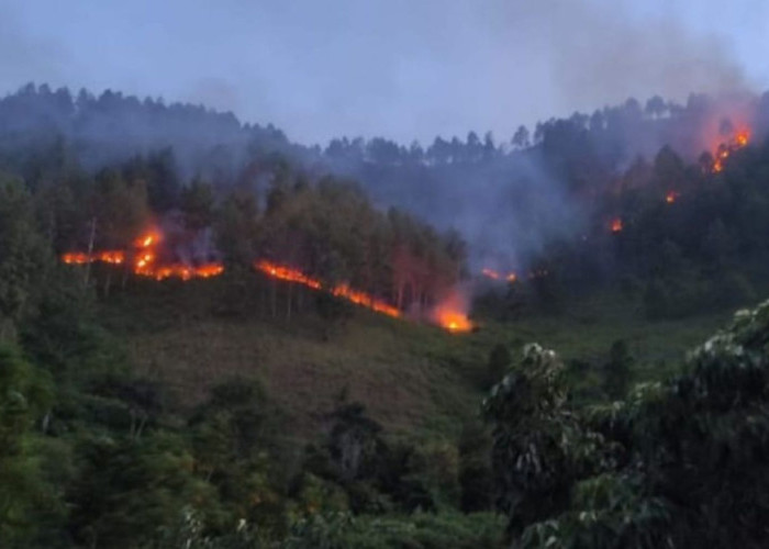 BMKG Deteksi 64 Titik Panas di Sumut, Terbanyak Menyebar di Kabupaten Karo