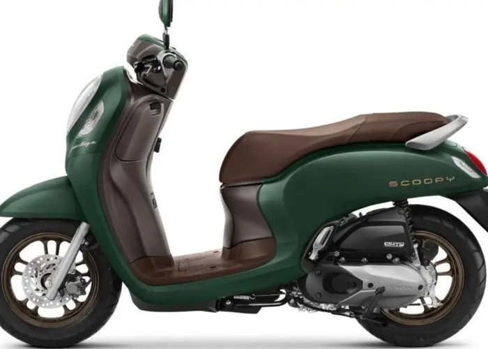 Beli Motor Bekas Harga 1-2 Juta Lewat Lelang? Ini Tips dan Trik Agar Tidak Rugi