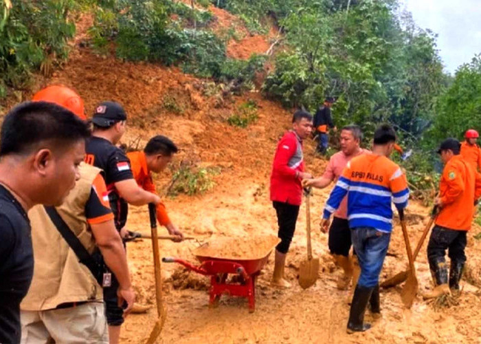 Jalinsum Sibuhuan-Sosopan Lumpuh Total! Longsor Hebat Hantam Kawasan Wisata Siraisan Padang Lawas