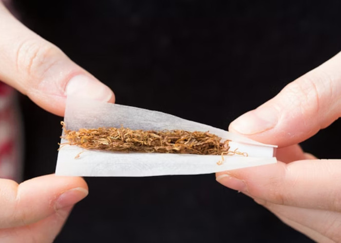 Hari Tanpa Tembakau Sedunia 2026: WHO Soroti Jerat Agresif Industri Rokok pada Anak