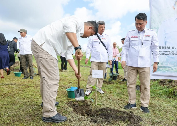 Gandeng Hashim Djojohadikusumo, Bobby Nasution Tanam Satu Juta Pohon demi Ketahanan Lingkungan Sumatera Utara