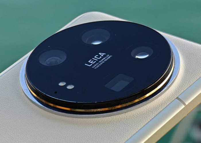 Panduan Lengkap HP Xiaomi Terbaru 2026: Dari Kelas Entry-Level Hingga Flagship Premium