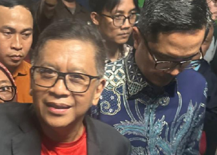Manuver Politik? Sosok 'Prof. Dasco' Diduga Jadi Dalang Rencana Amnesti Hasto dan Abolisi Tom Lembong