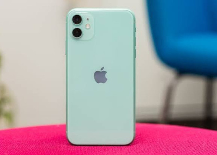 Tertanam di Silikon, Celah usbliter8 Bikin iPhone 11 dan Seri XS Rentan Dibajak Permanen