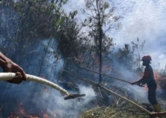 BMKG Deteksi 14 Titik Panas di Sumut: Waspada Potensi Karhutla dan Cuaca Ekstrem