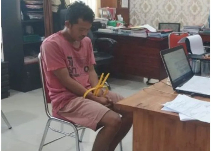 Viral Sopir Angkot Pamer Alat Kelamin di Serdang Bedagai, Polisi Langsung Amankan Pelaku