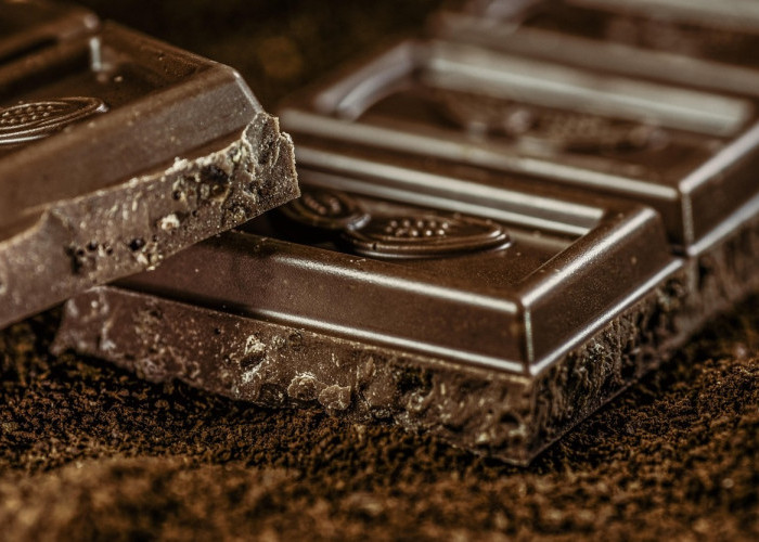 Ini 7 Manfaat Dark Chocolate, Jantung hingga Otak Makin Sehat